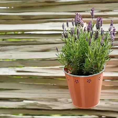 47 Heaven Luxury House Radovljica