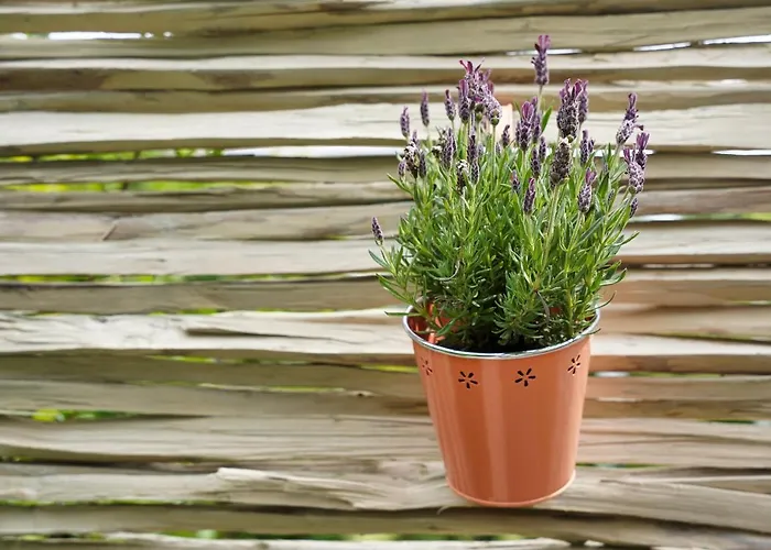 47 Heaven Luxury House ラドヴリツァ